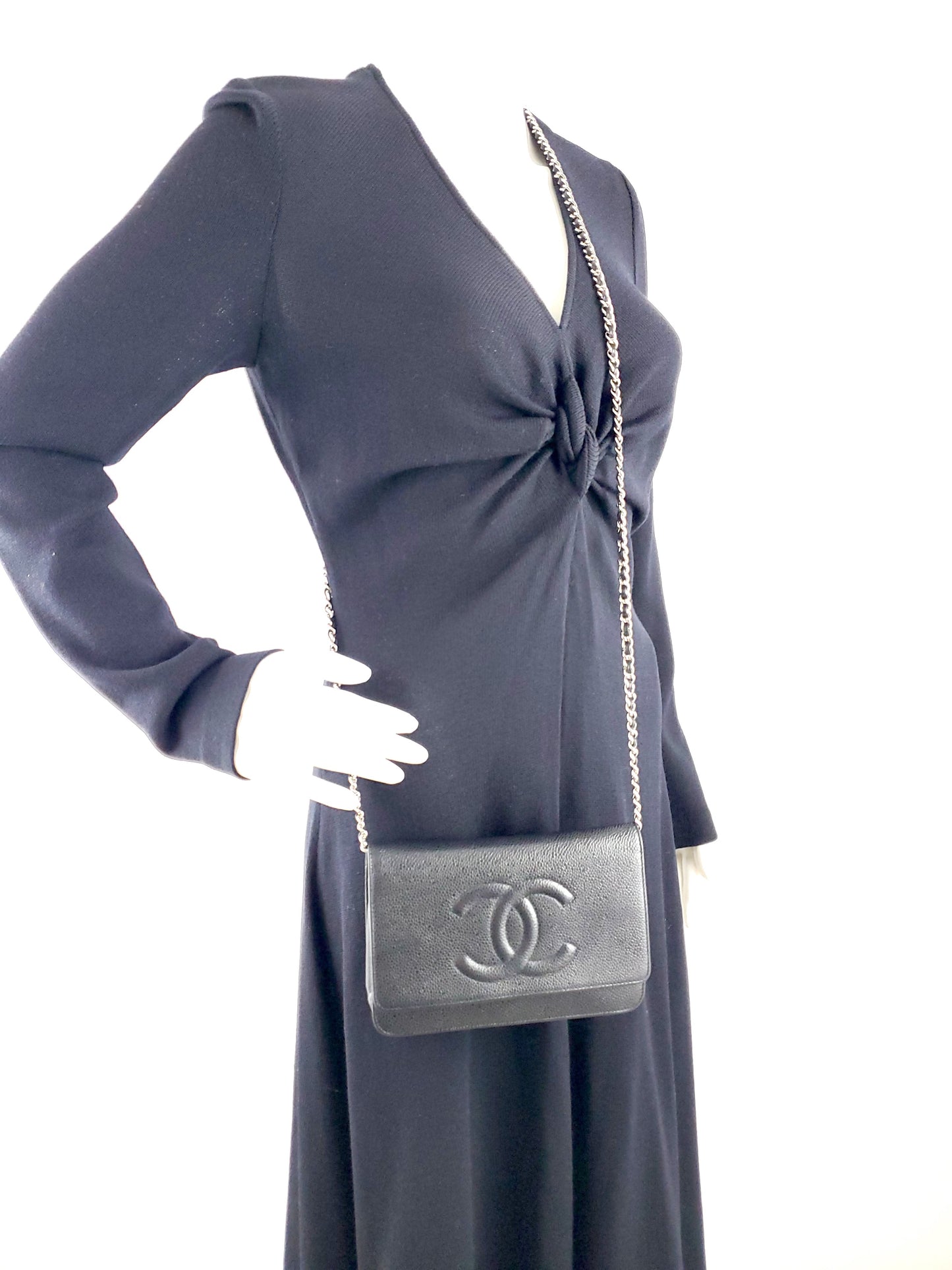 Chanel Timeless CC Logo Wallet on the Chain WOC Bag