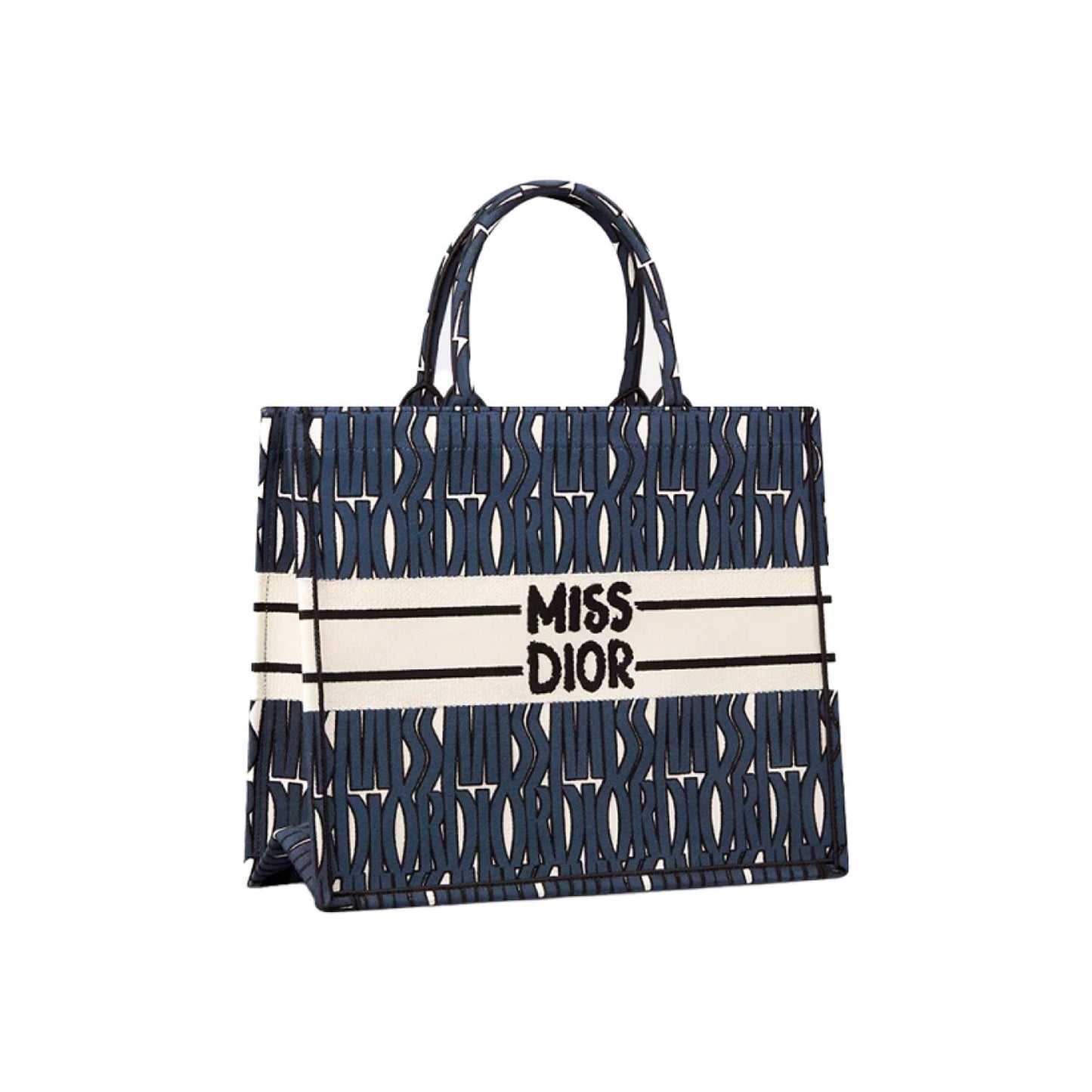Dior Book Tote Tote