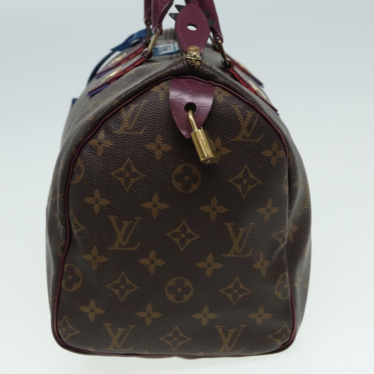 LOUIS VUITTON Monogram Totem Hand Bag M41666 LV Auth 83082