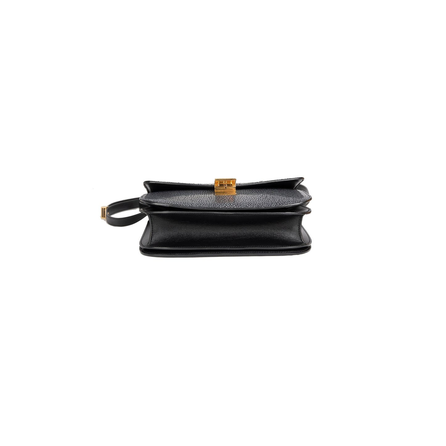 Celine Stingray Medium Classic Box Bag