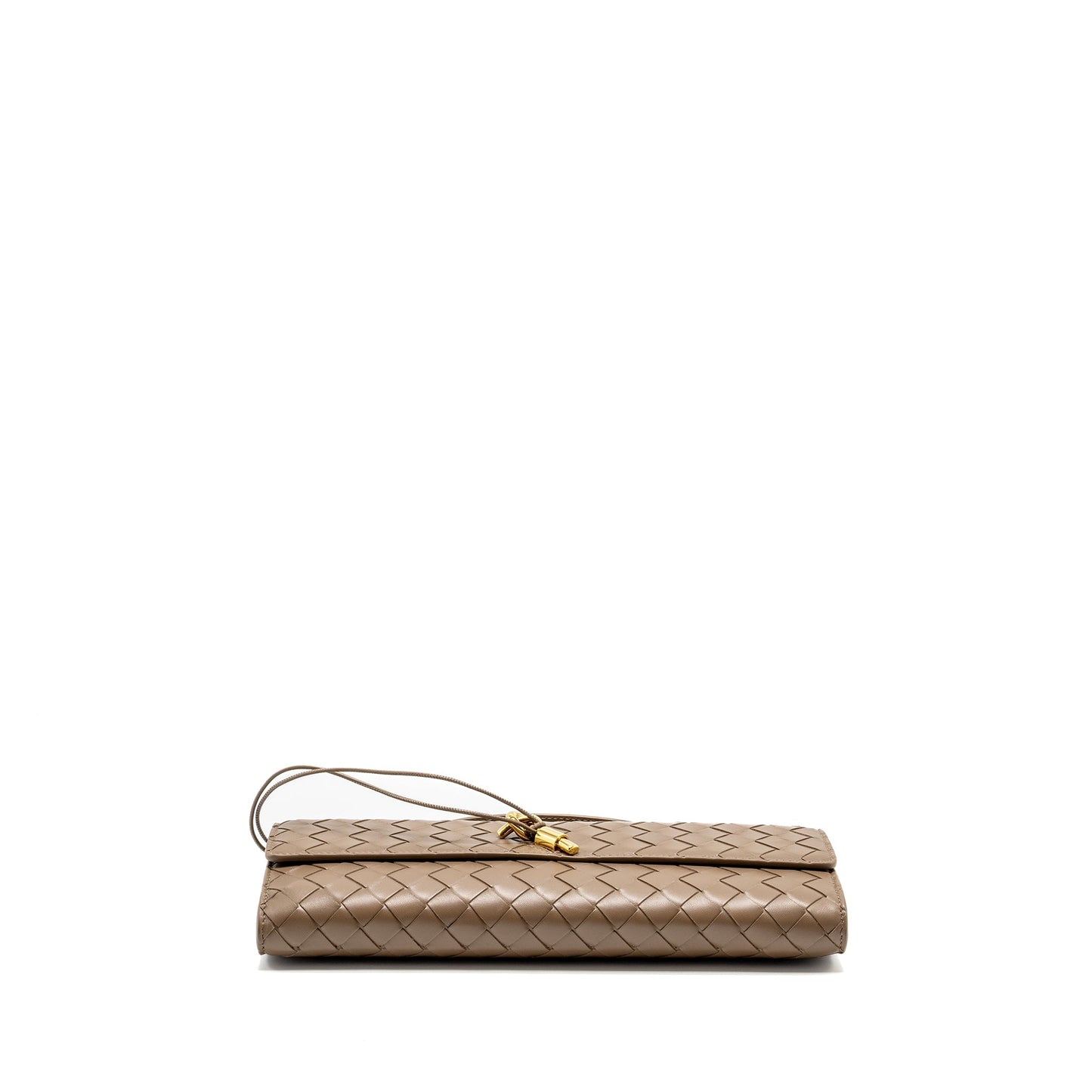 Bottega Veneta Andiamo Clutch Lambskin Pinecone