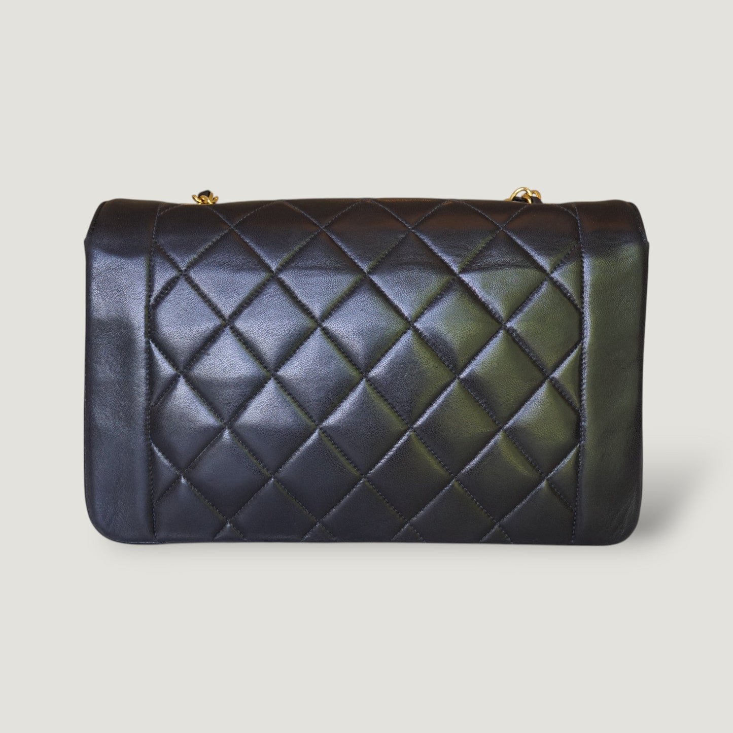 Chanel Diana Handbag Bag - Almora Bags