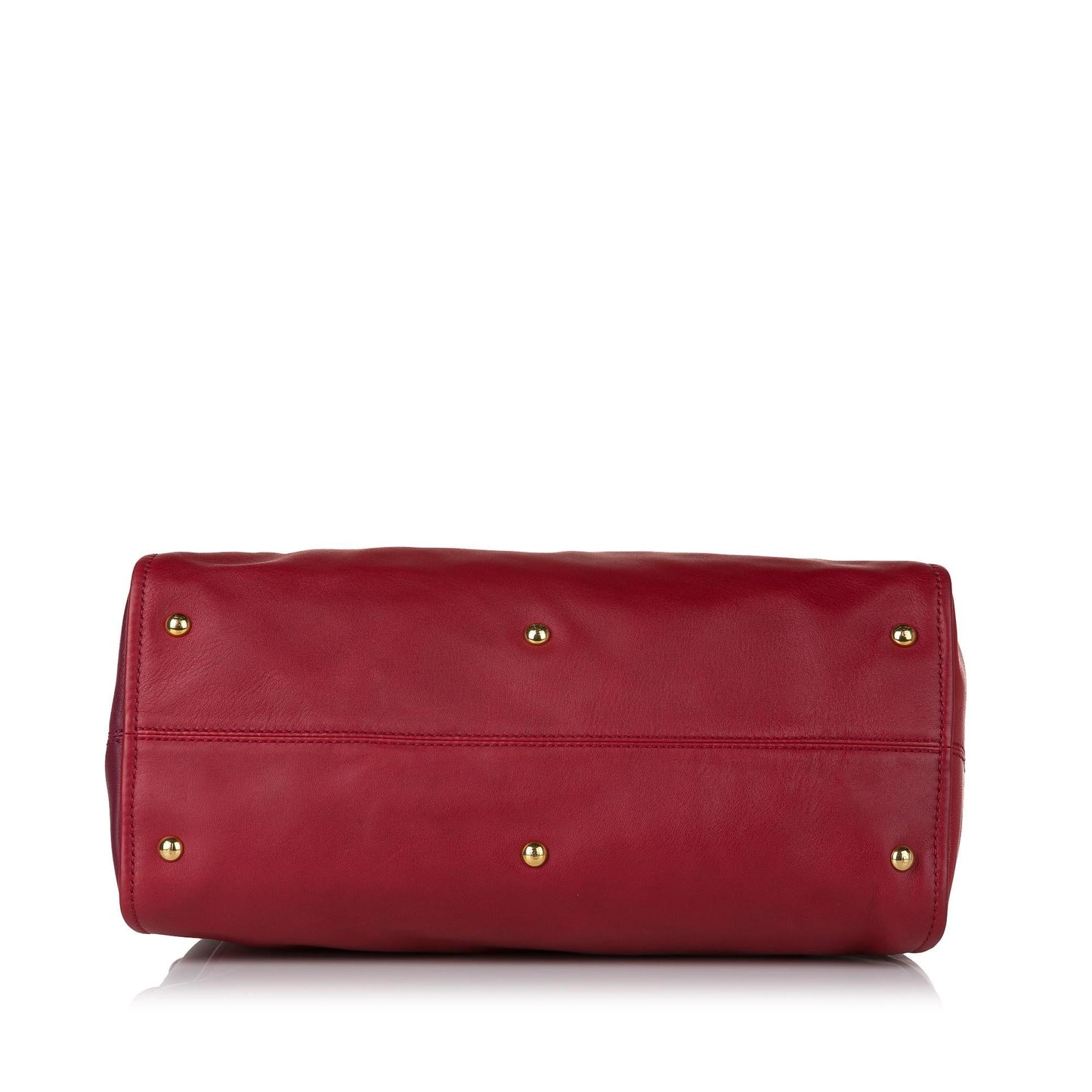 Fendi Chameleon