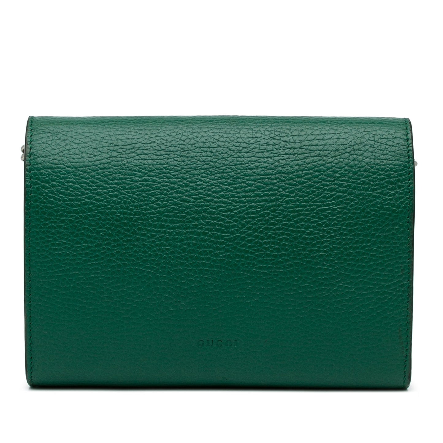 Gucci Dionysus Leather Chain Crossbody Style 1