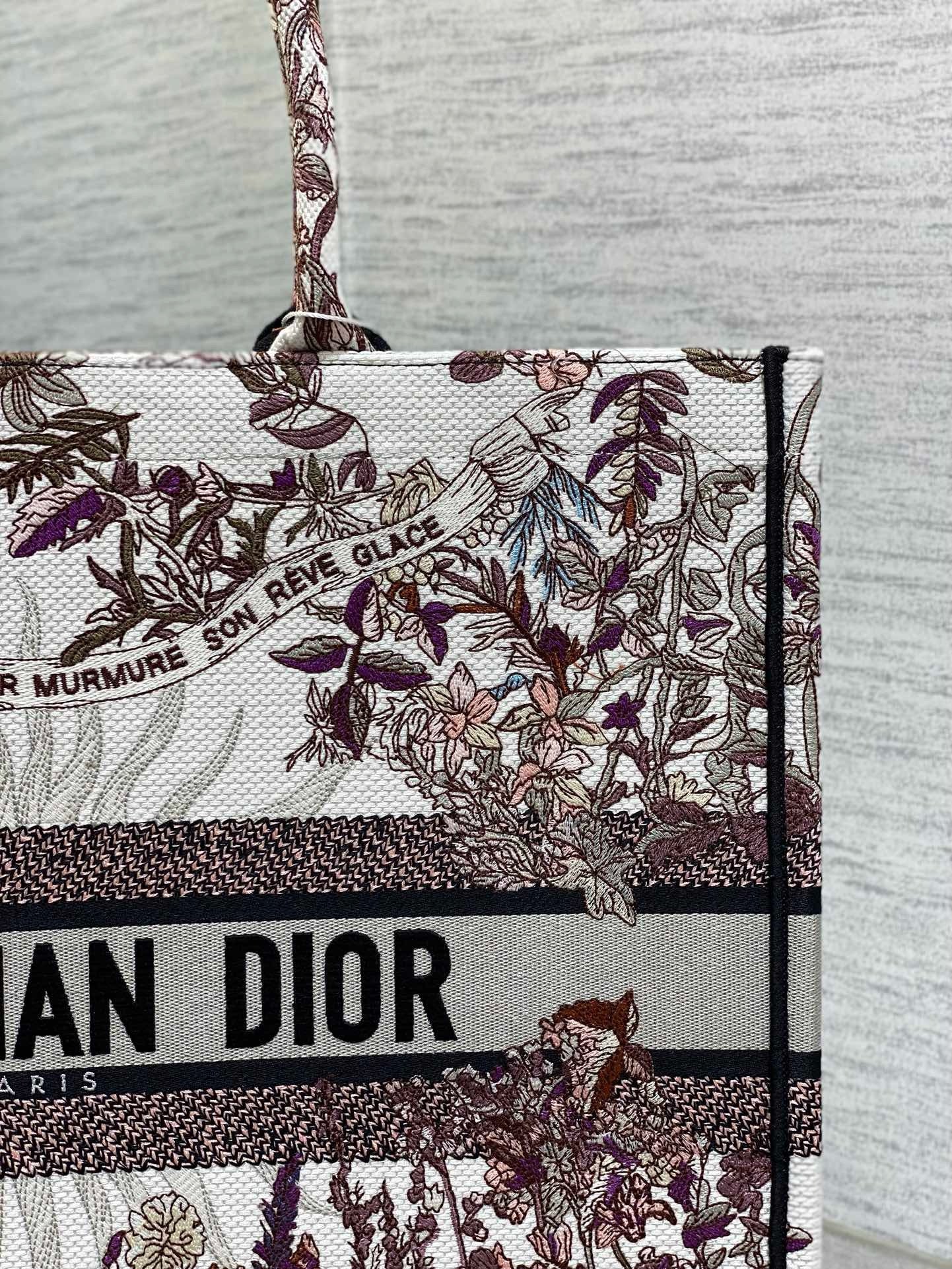 Dior Book Tote Tote