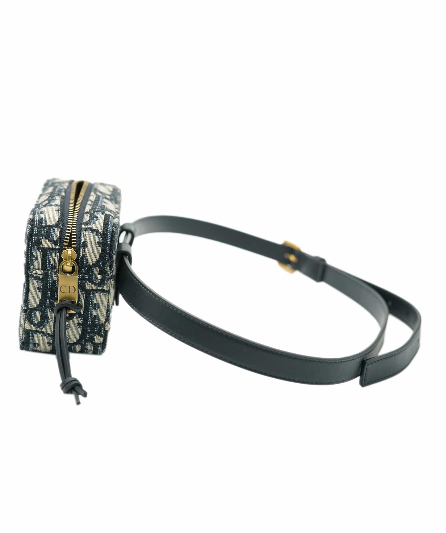 Dior Lou Chain Leather Clutch