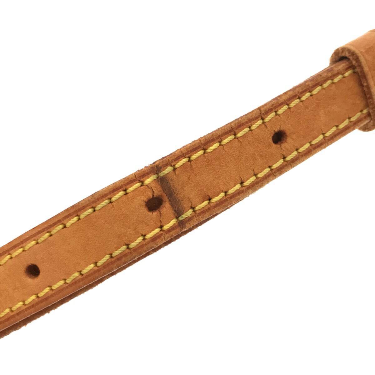 Louis Vuitton Monogram Trotteur Crossbody Bag