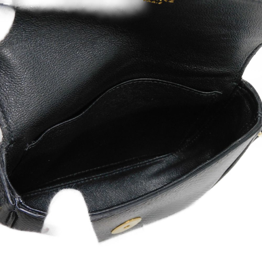 CELINE Shoulder Bag. Karung leather black exotic Tassel small bag Women