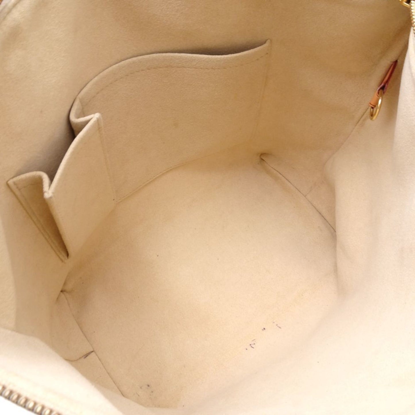 LOUIS VUITTON Saleya Handbag
