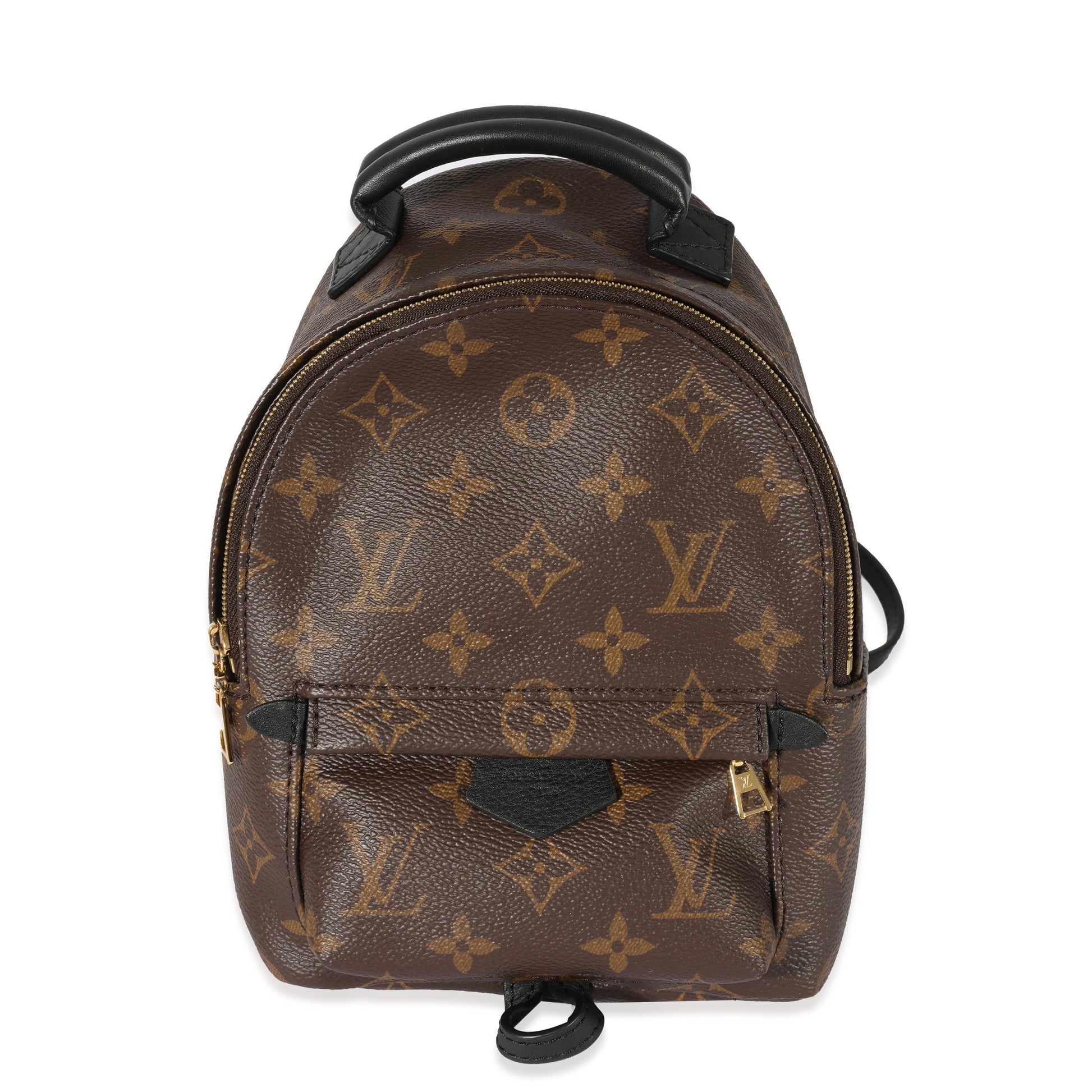 Louis Vuitton Monogram Canvas Palm Springs Mini Backpack