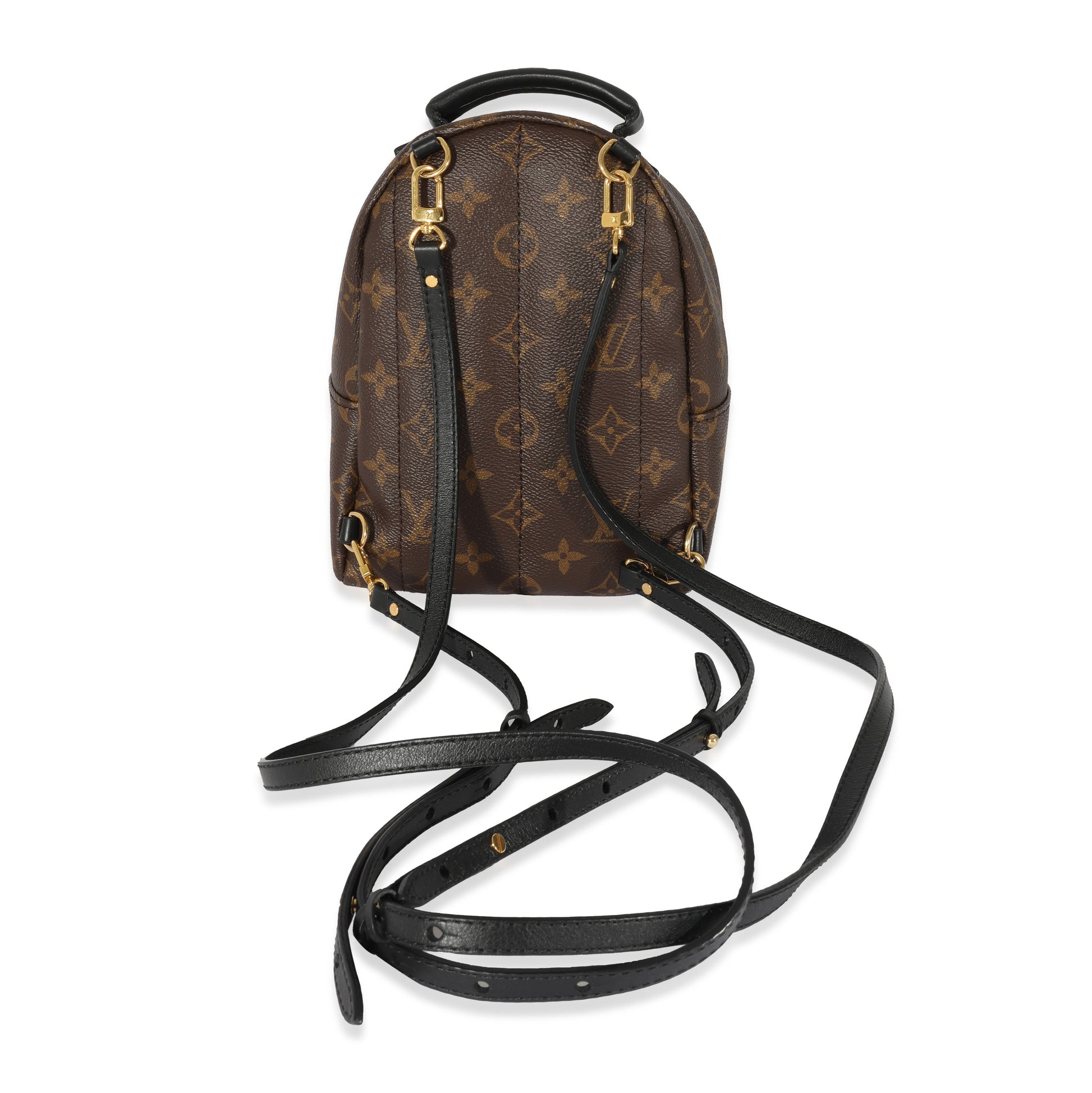 Louis Vuitton Monogram Canvas Palm Springs Mini Backpack