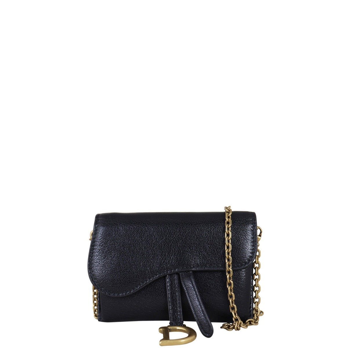 Dior Saddle Pouch Nano
