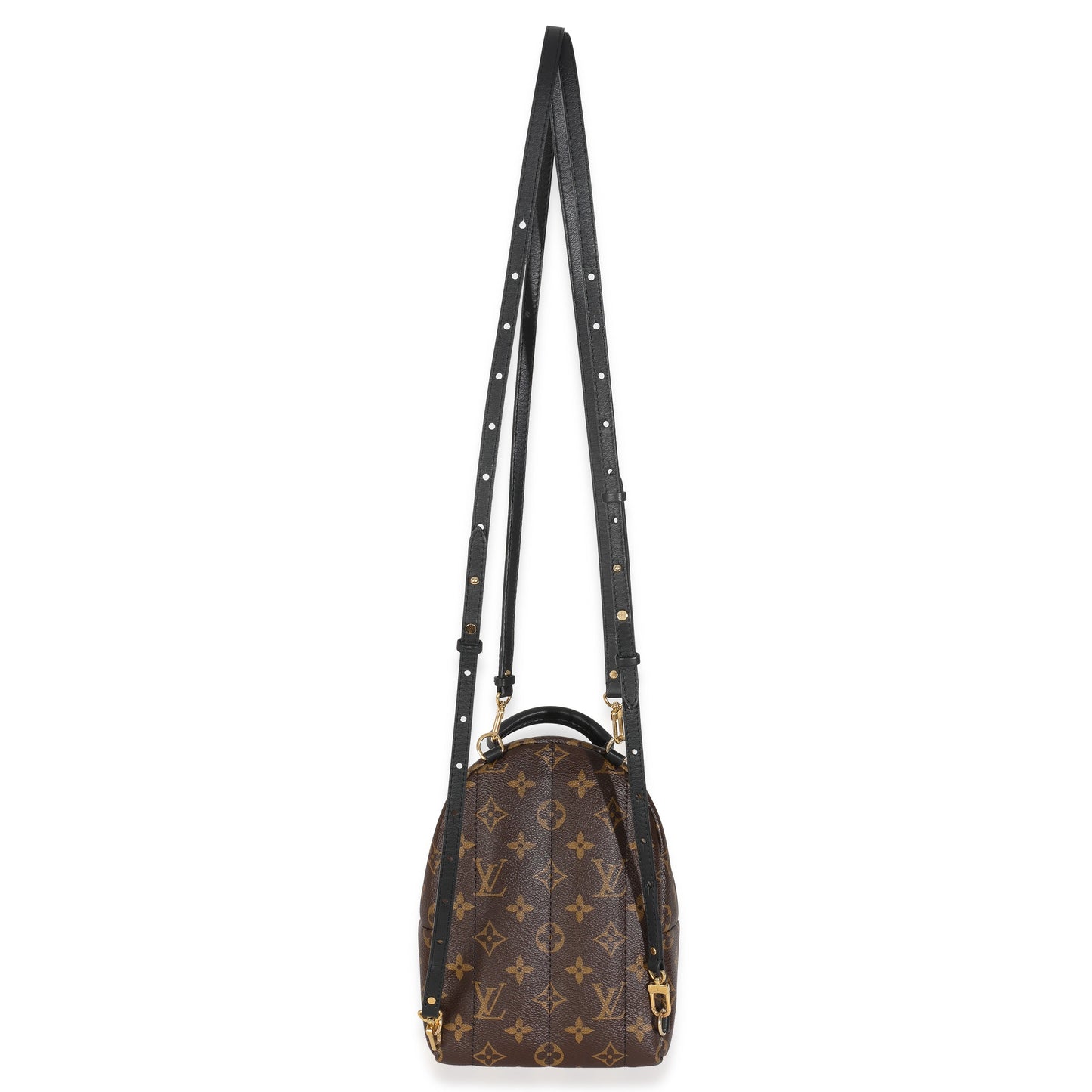 Louis Vuitton Monogram Canvas Mini Palm Springs Backpack