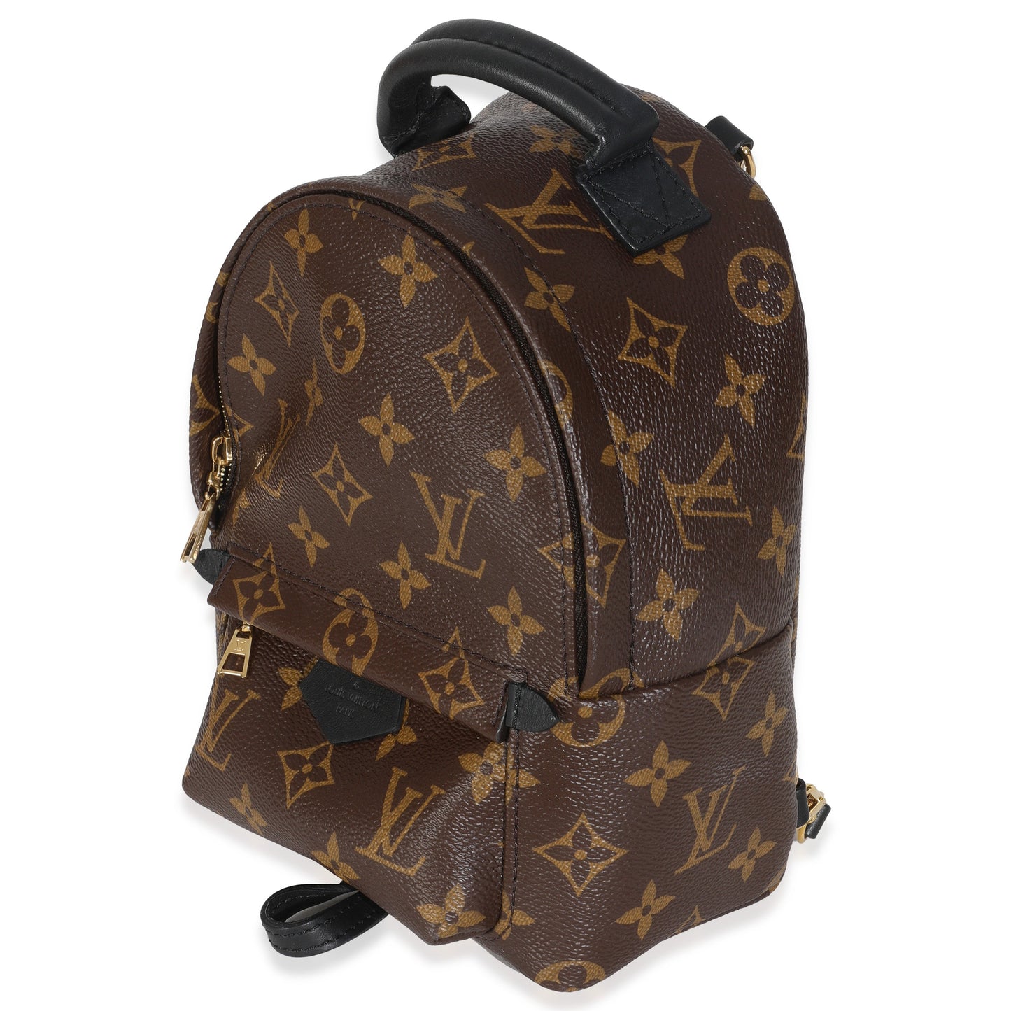 Louis Vuitton Monogram Canvas Mini Palm Springs Backpack