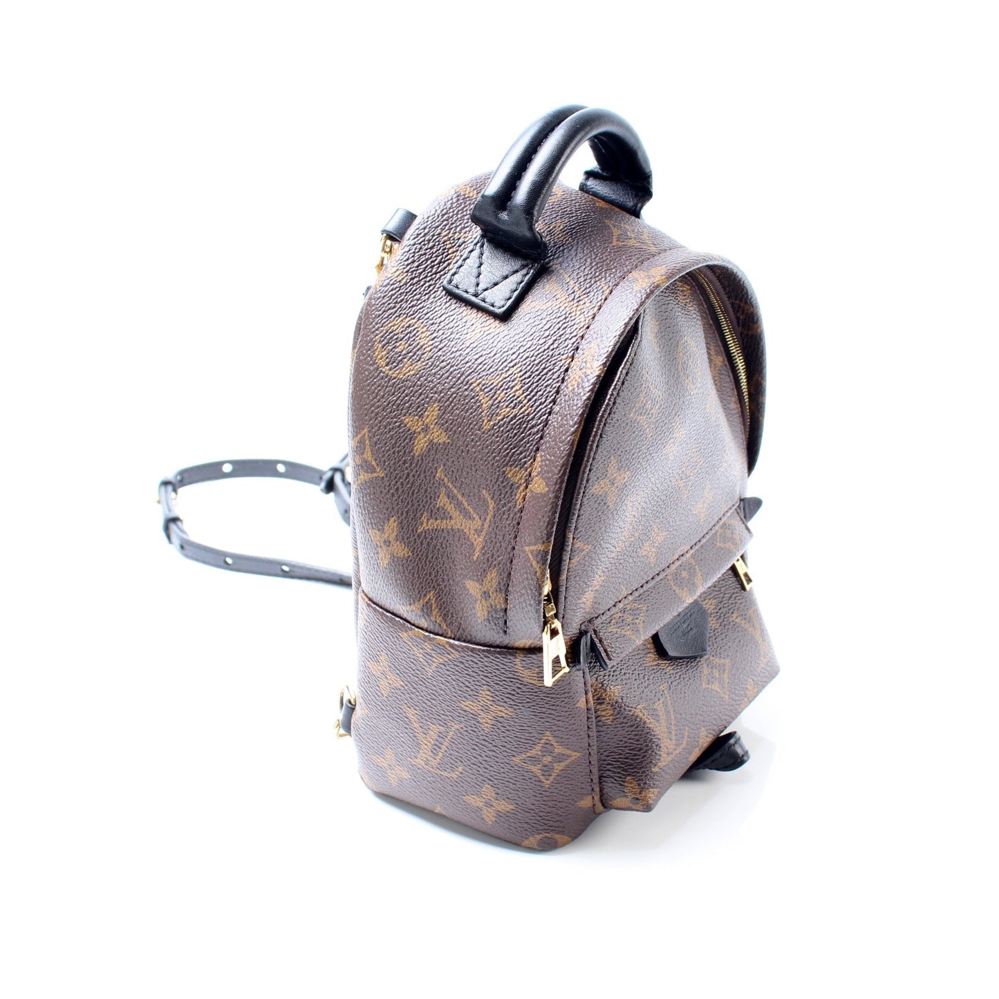 Louis Vuitton Palm Springs Mini Backpack Monogram