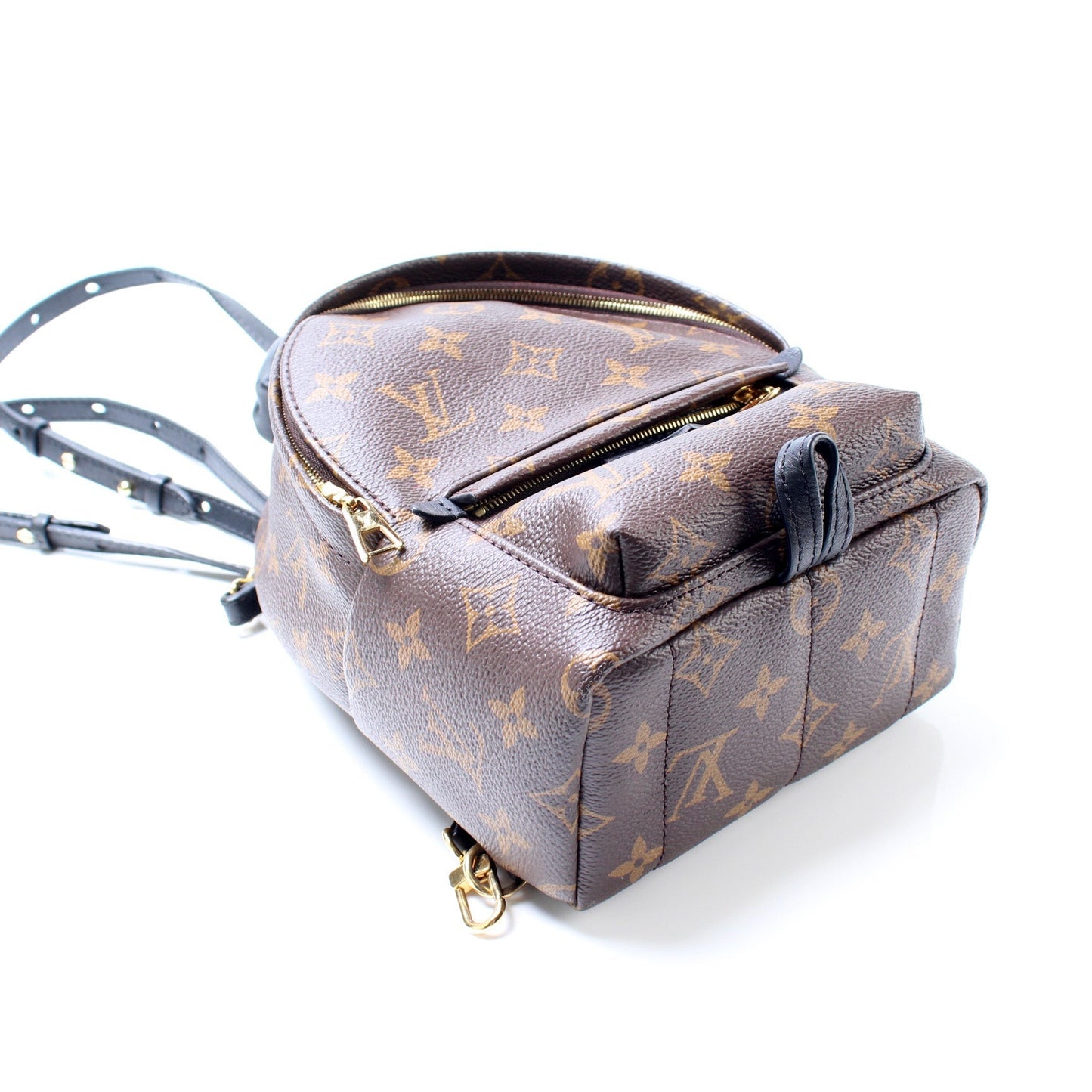Louis Vuitton Palm Springs Mini Backpack Monogram