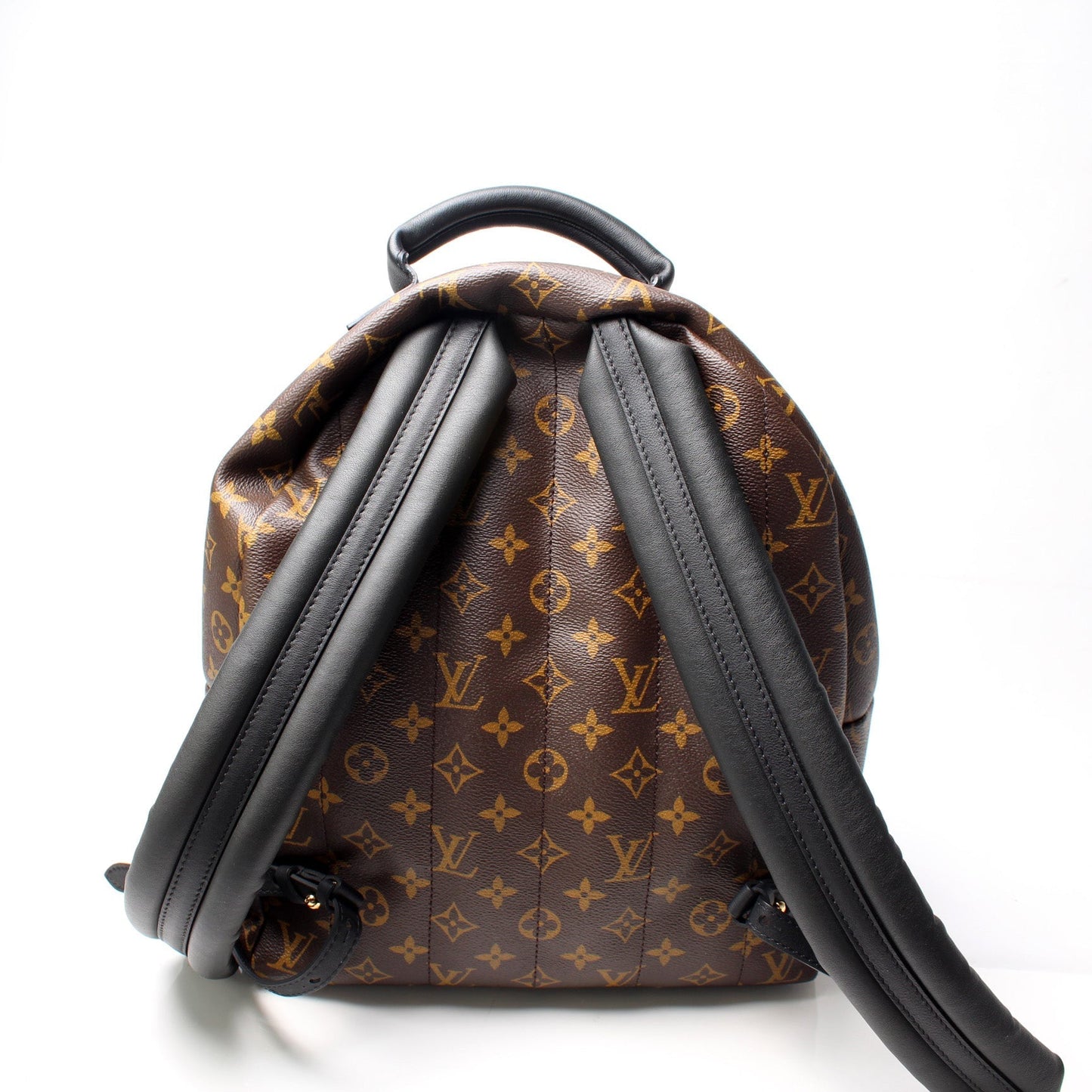 Louis Vuitton Palm Springs Backpack MM