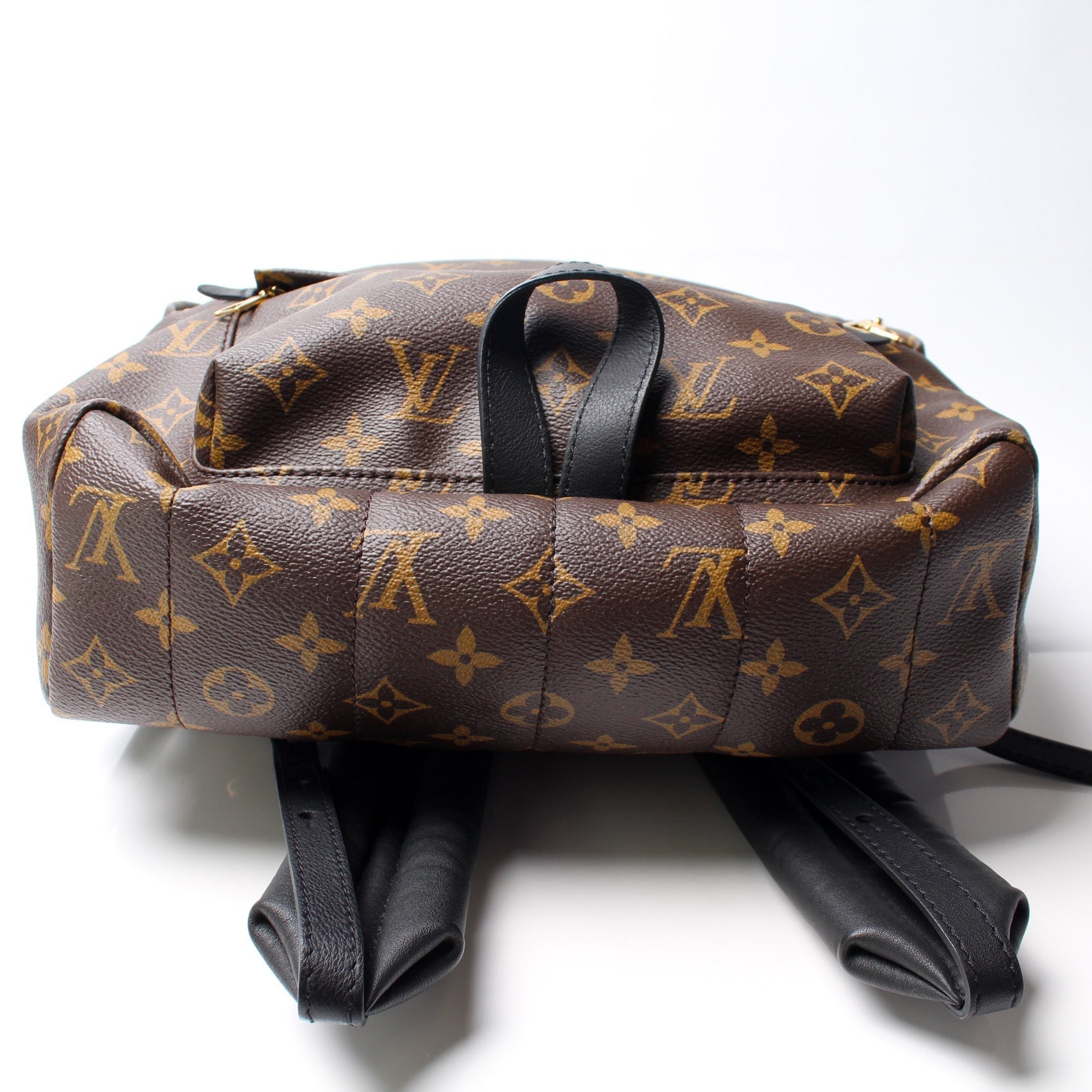 Louis Vuitton Palm Springs Backpack MM