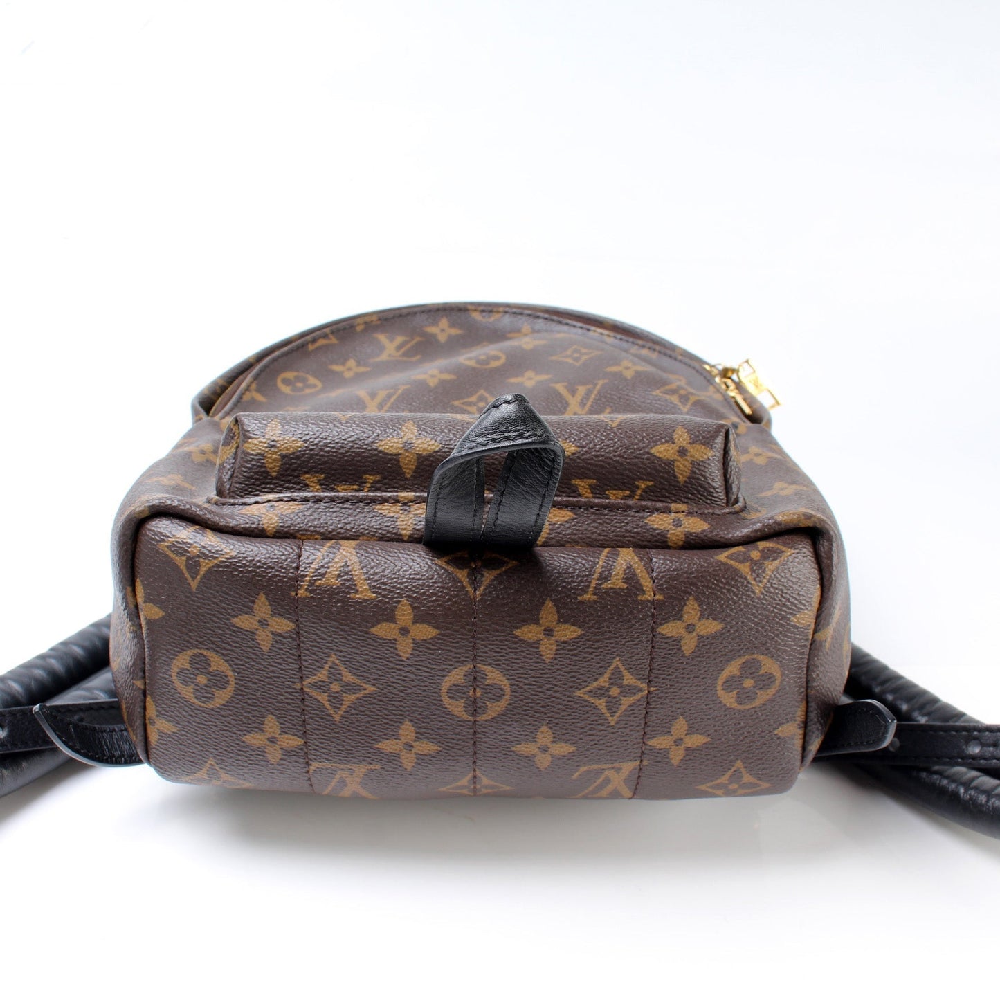 Louis Vuitton Palm Springs Backpack PM