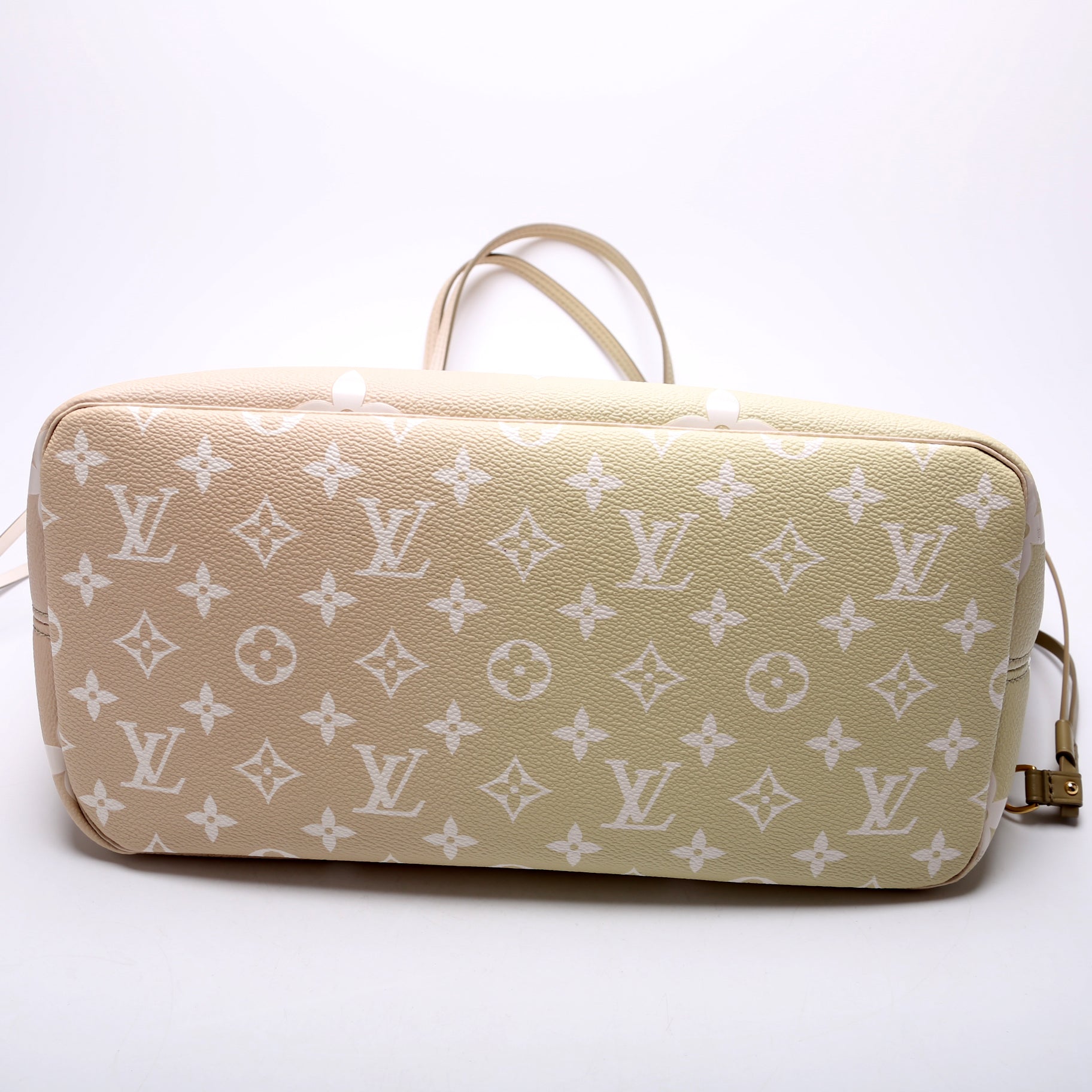 Louis Vuitton Neverfull MM 'Spring in the City' Giant Monogram