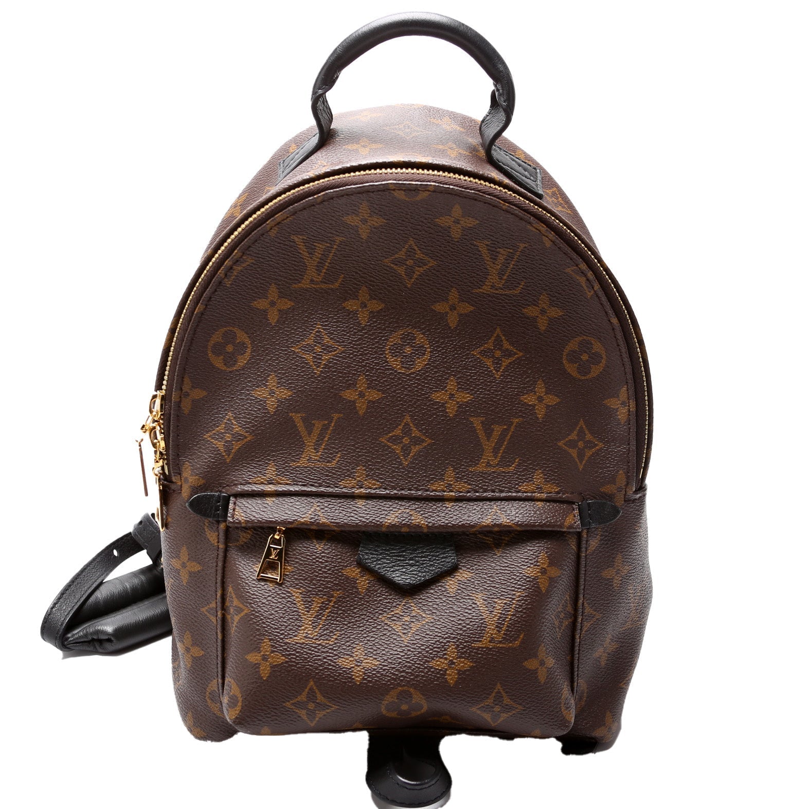 Louis Vuitton Palm Springs Backpack PM NM