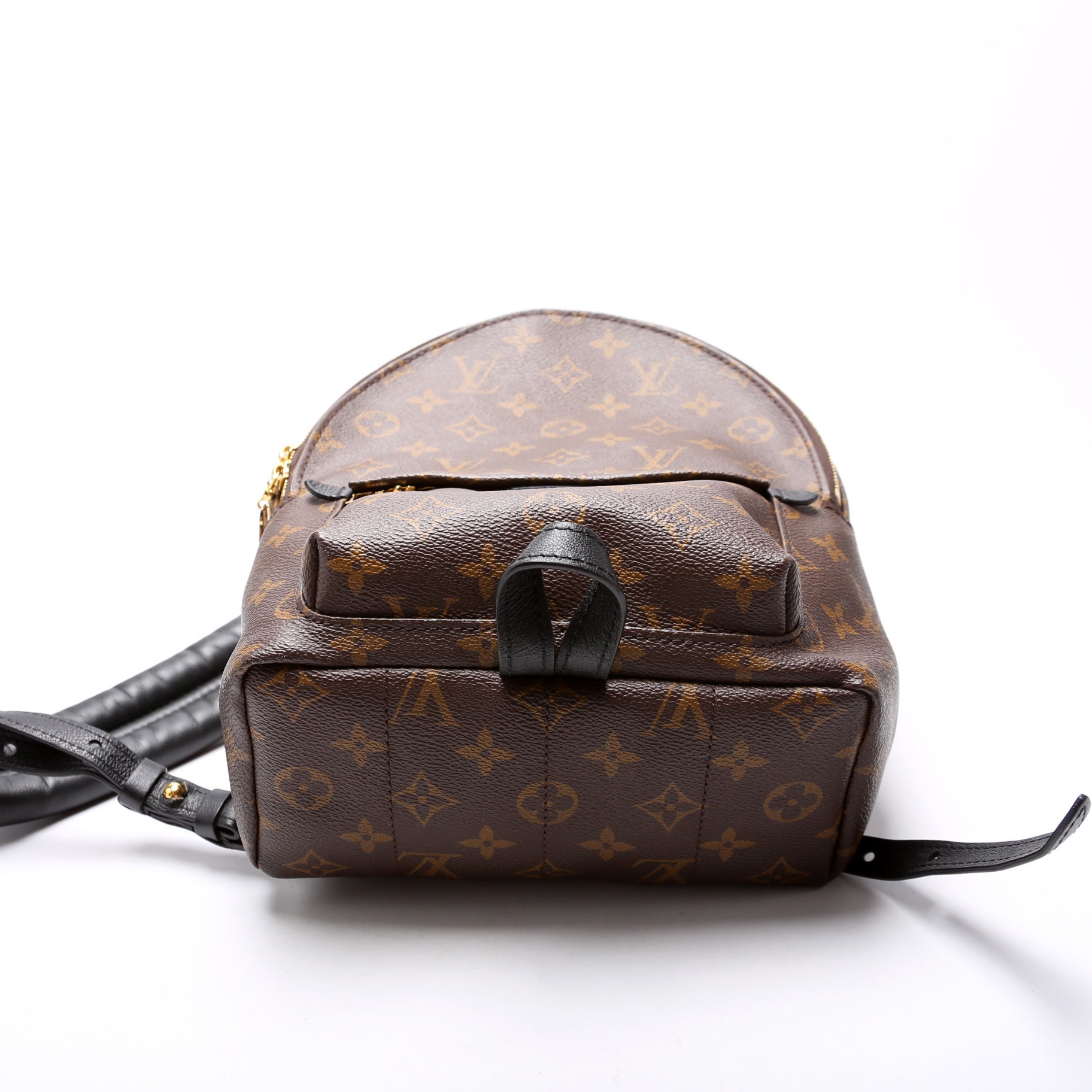 Louis Vuitton Palm Springs Backpack PM NM