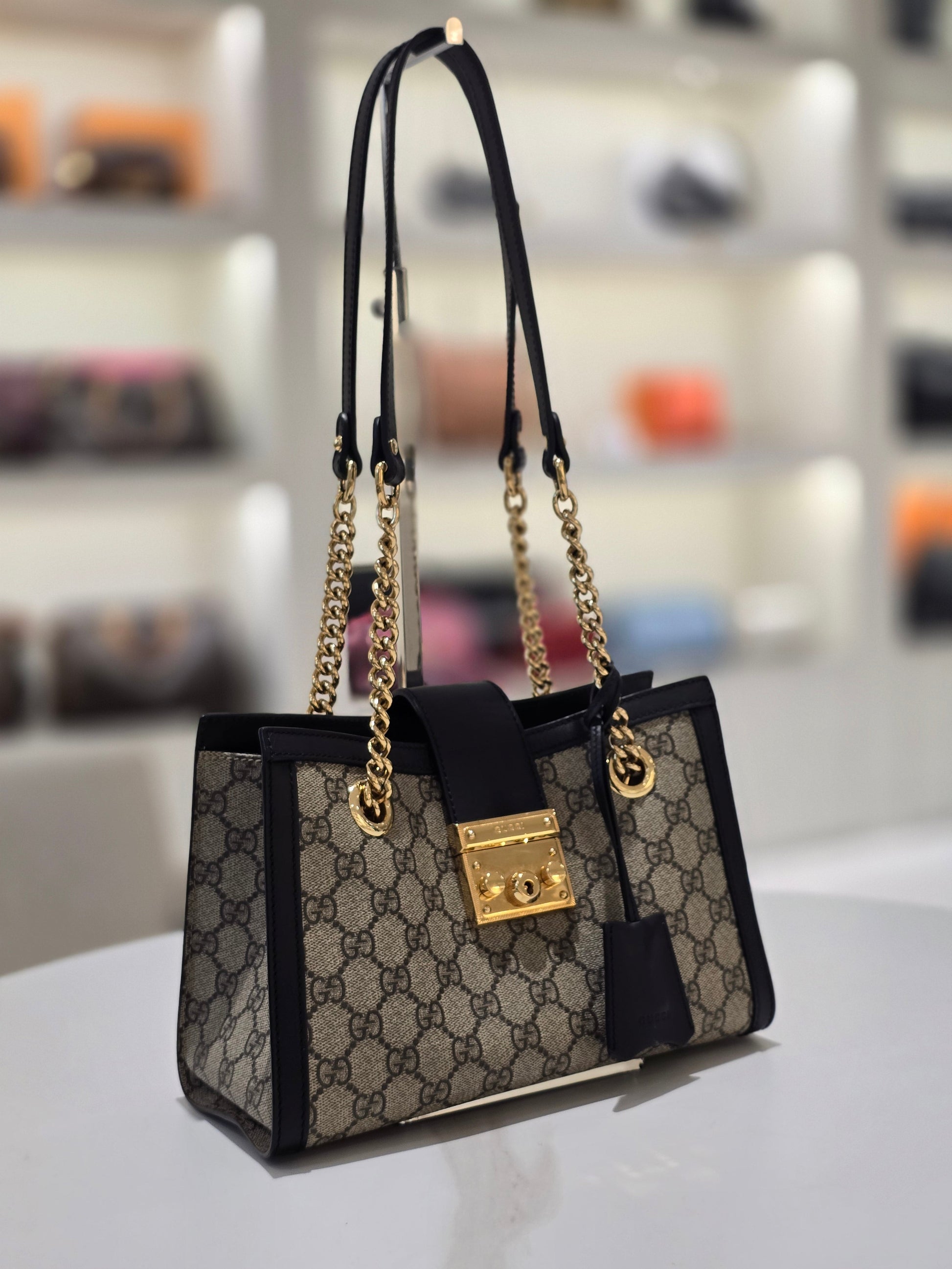 Gucci Canvas Shoulder Bag