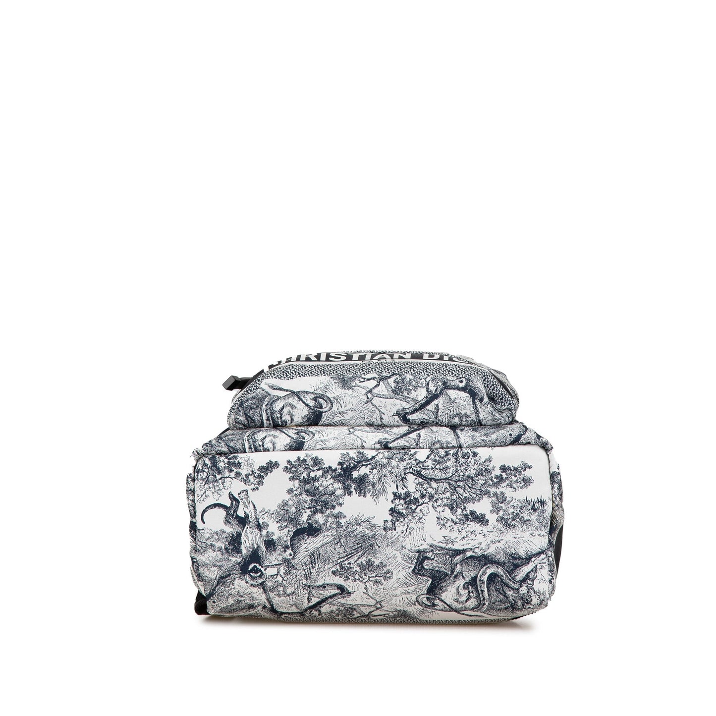 Dior Nylon Backpack