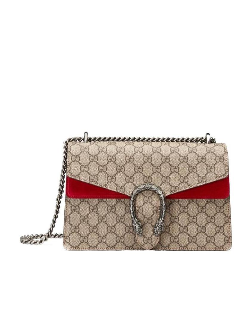 Gucci Chain Crossbody Style 2
