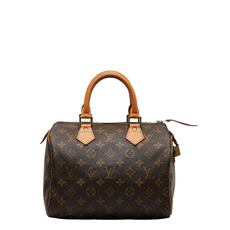 Louis Vuitton Monogram Mini Handbag