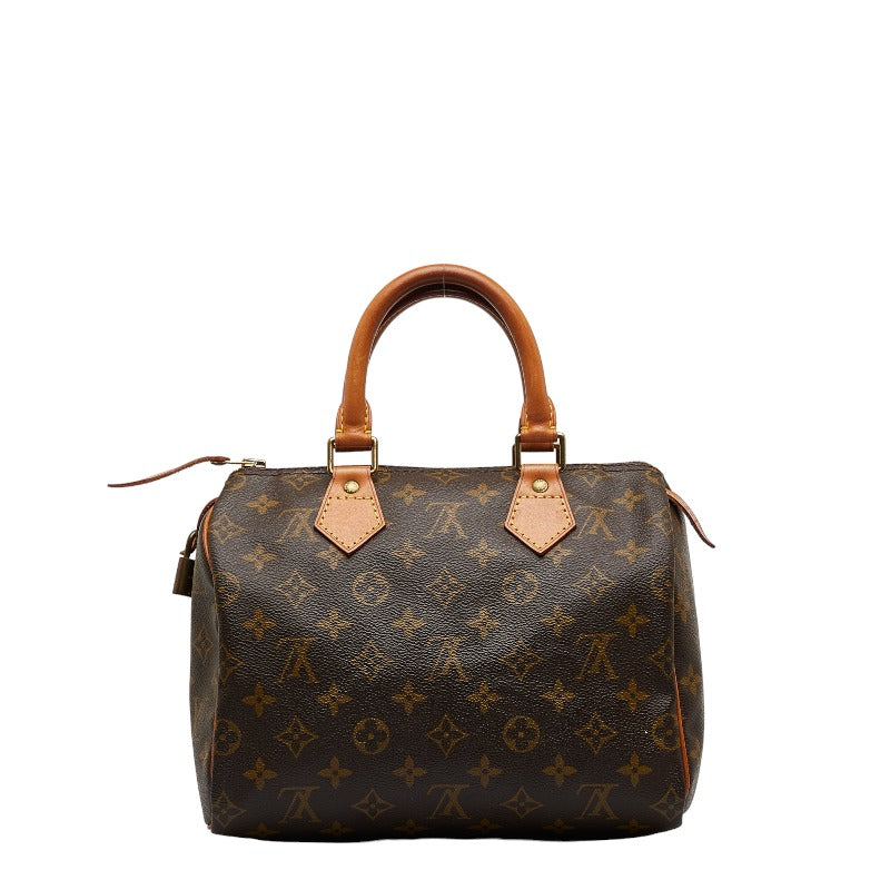 Louis Vuitton Monogram Mini Handbag