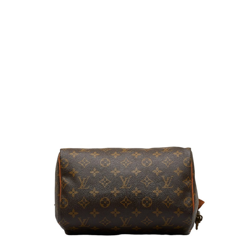 Louis Vuitton Monogram Mini Handbag