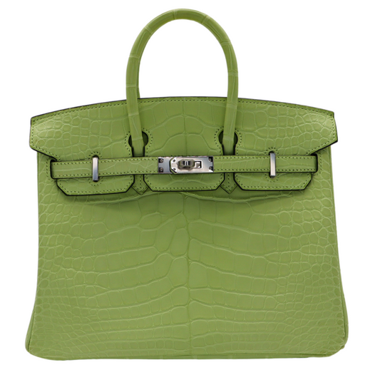 Hermes25cm Birkin Jaune Bourgeon Matte Alligator Palladium Hardware