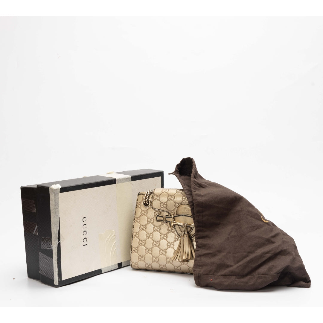 Gucci Chain Shoulder Bag