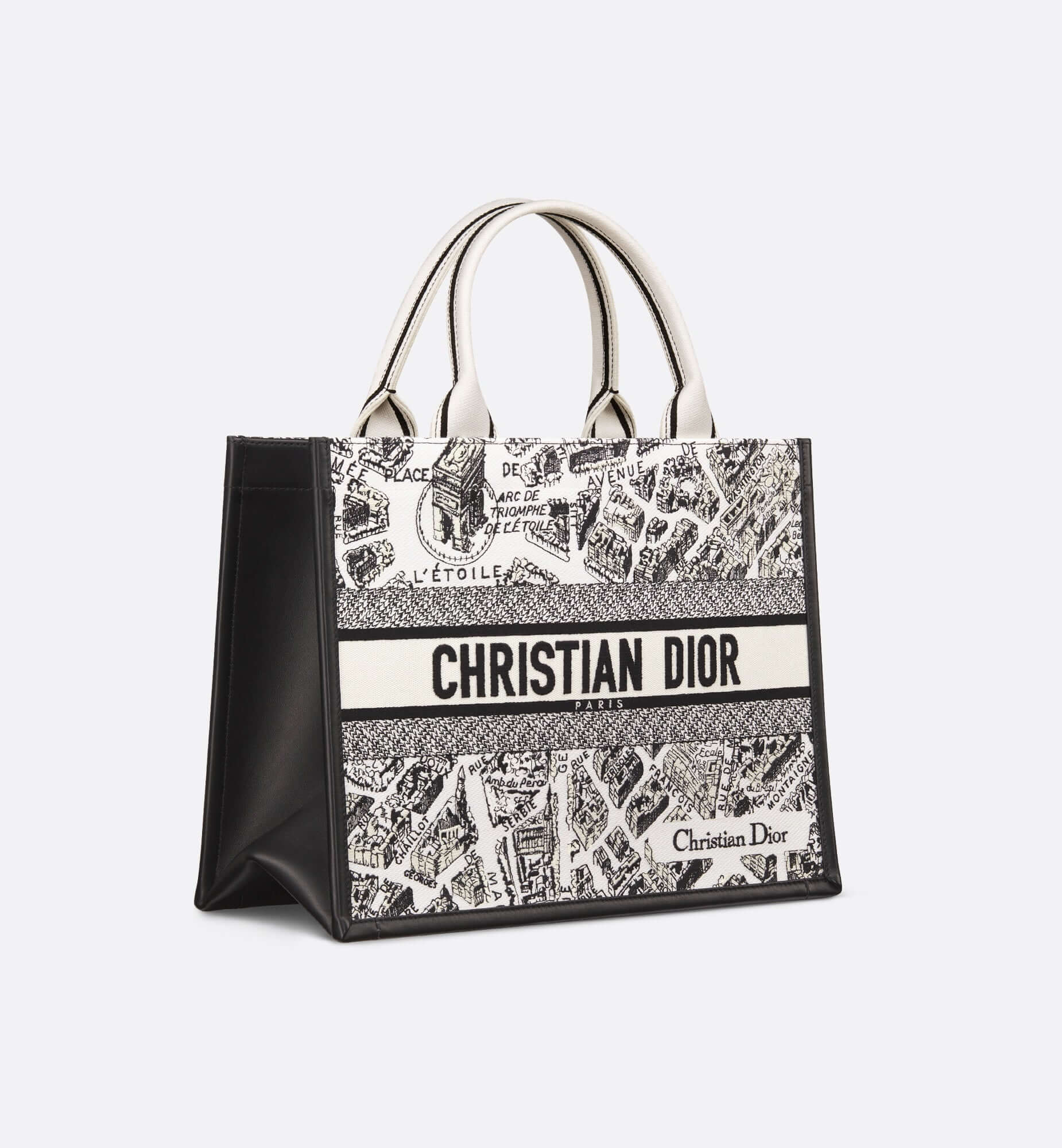 Dior Book Tote Leather Mini Tote
