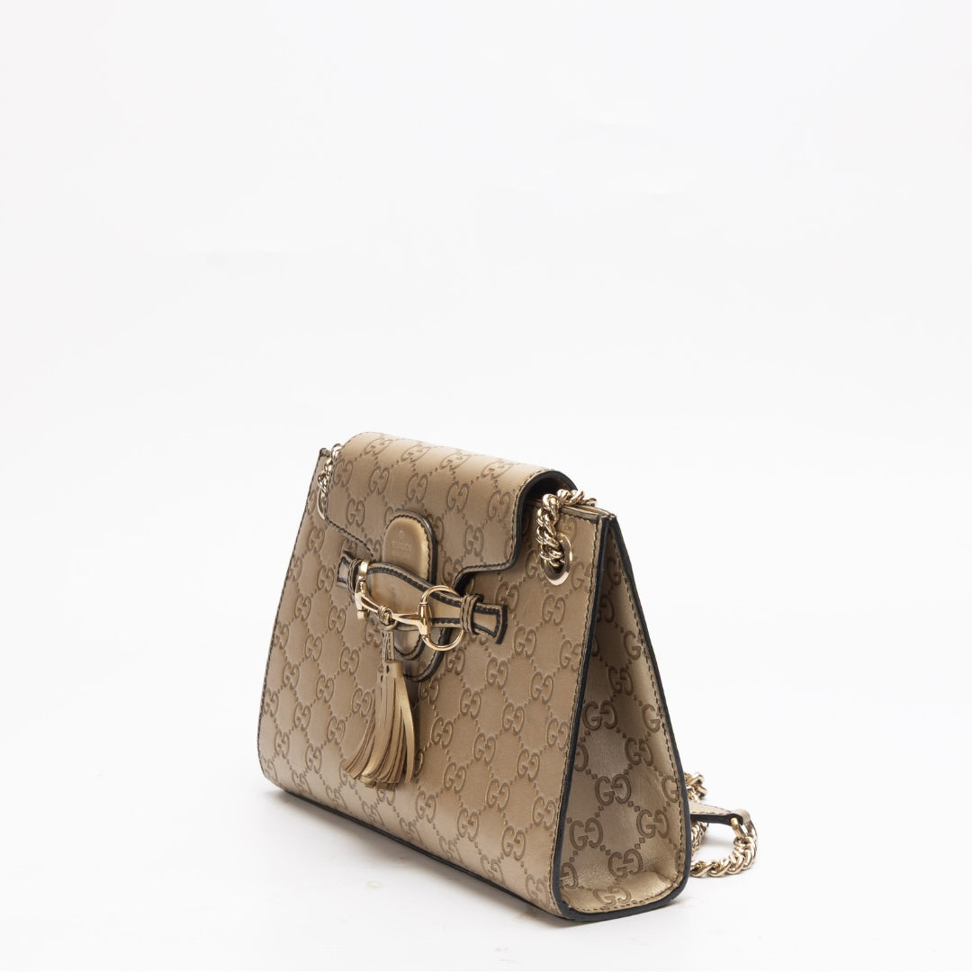 Gucci Chain Shoulder Bag