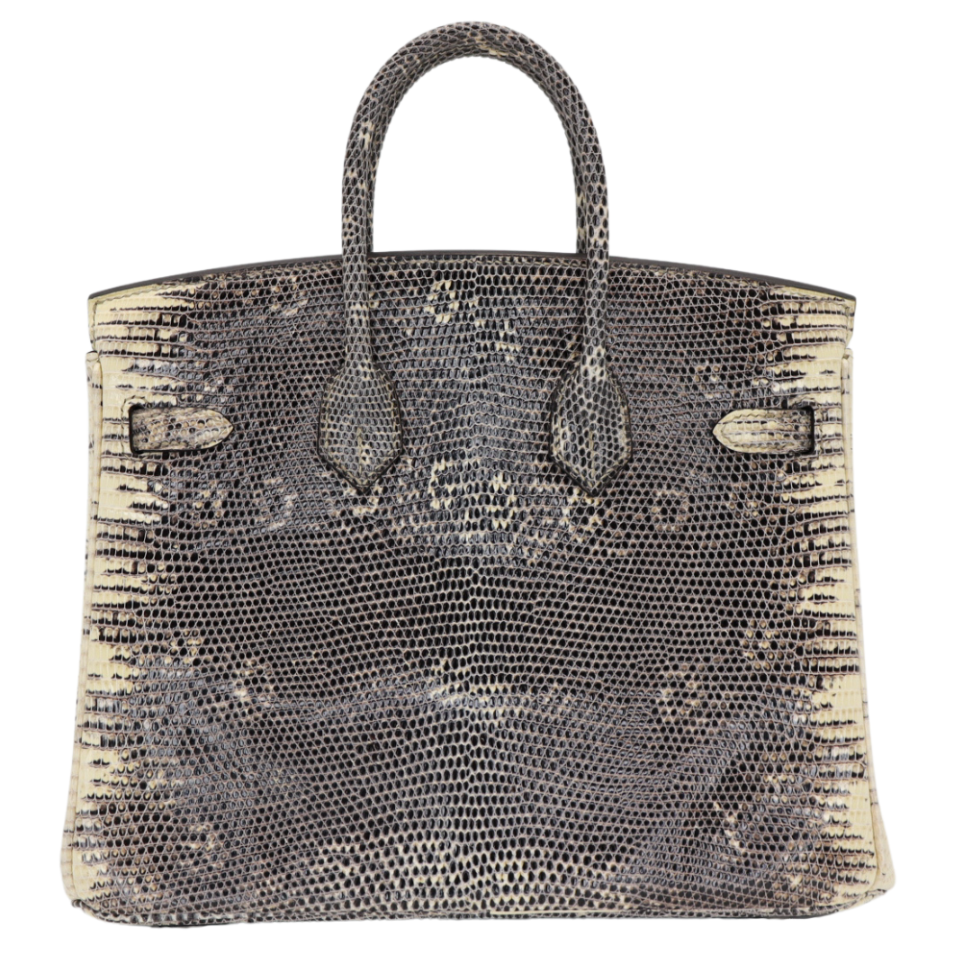 Hermes25cm Birkin Ombre Lizard Palladium Hardware