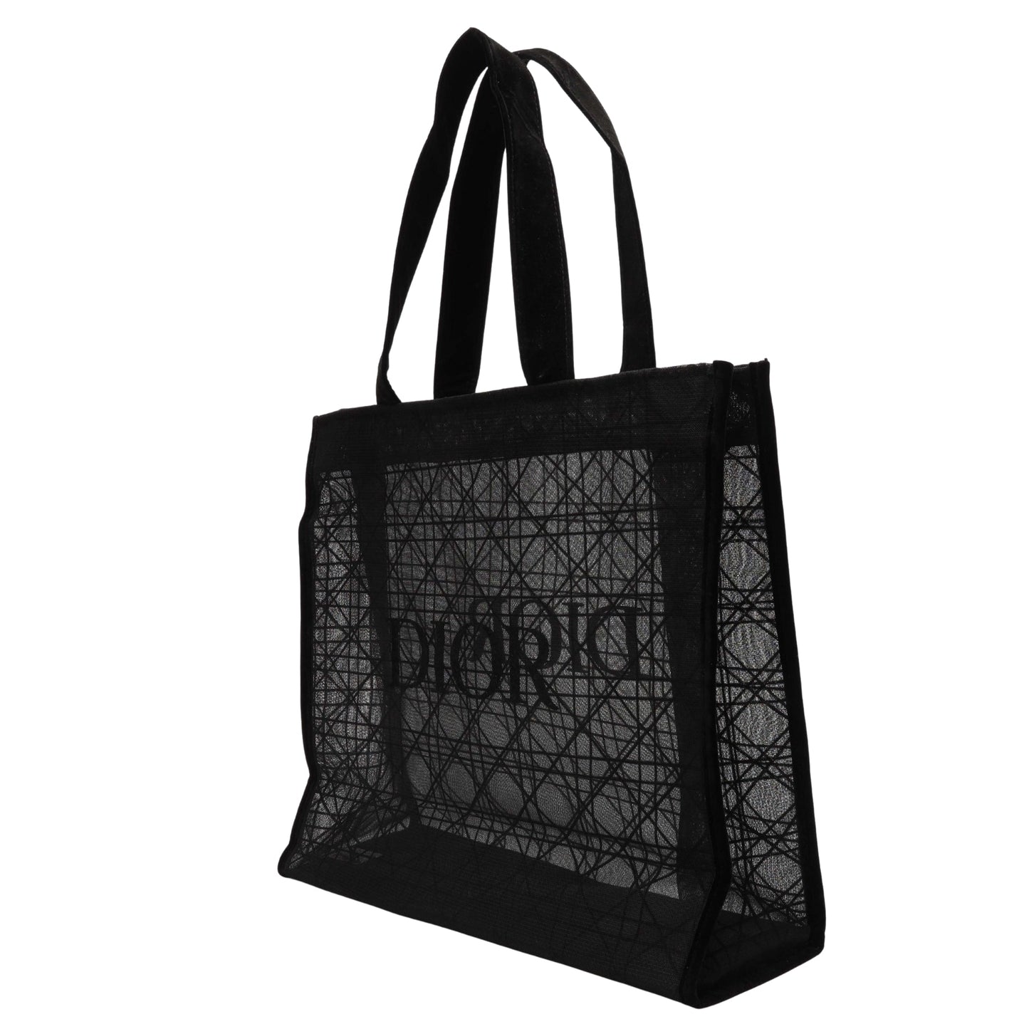 Dior Book Tote Tote