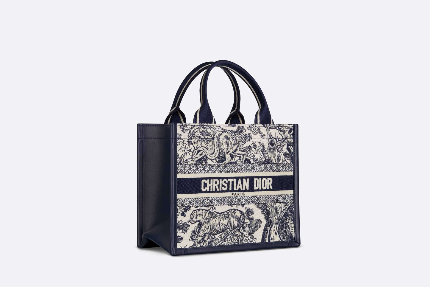 Dior Book Tote Leather Mini Tote