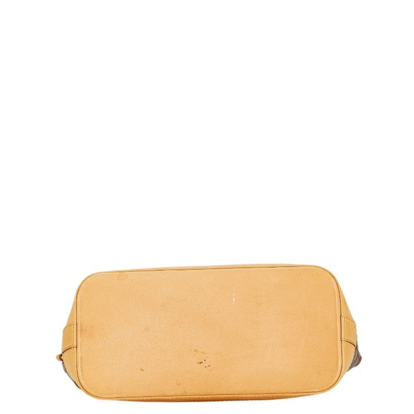 Louis Vuitton Monogram Pvc Leather Handbag