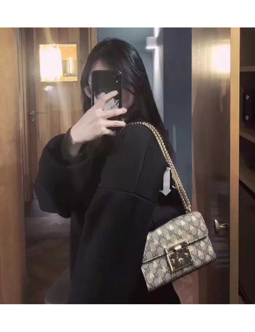 Gucci Leather Chain Crossbody Style 13