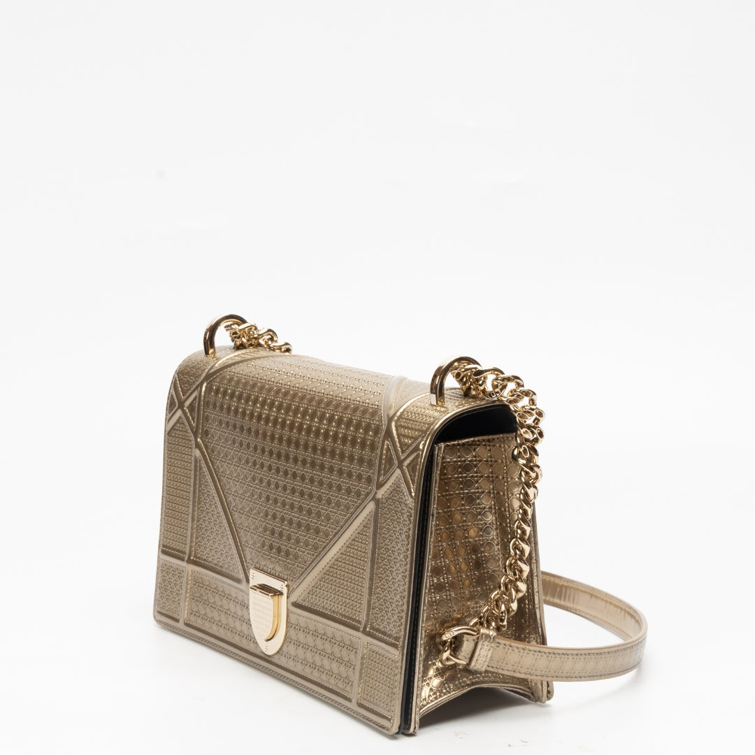 Dior Chain Leather Crossbody