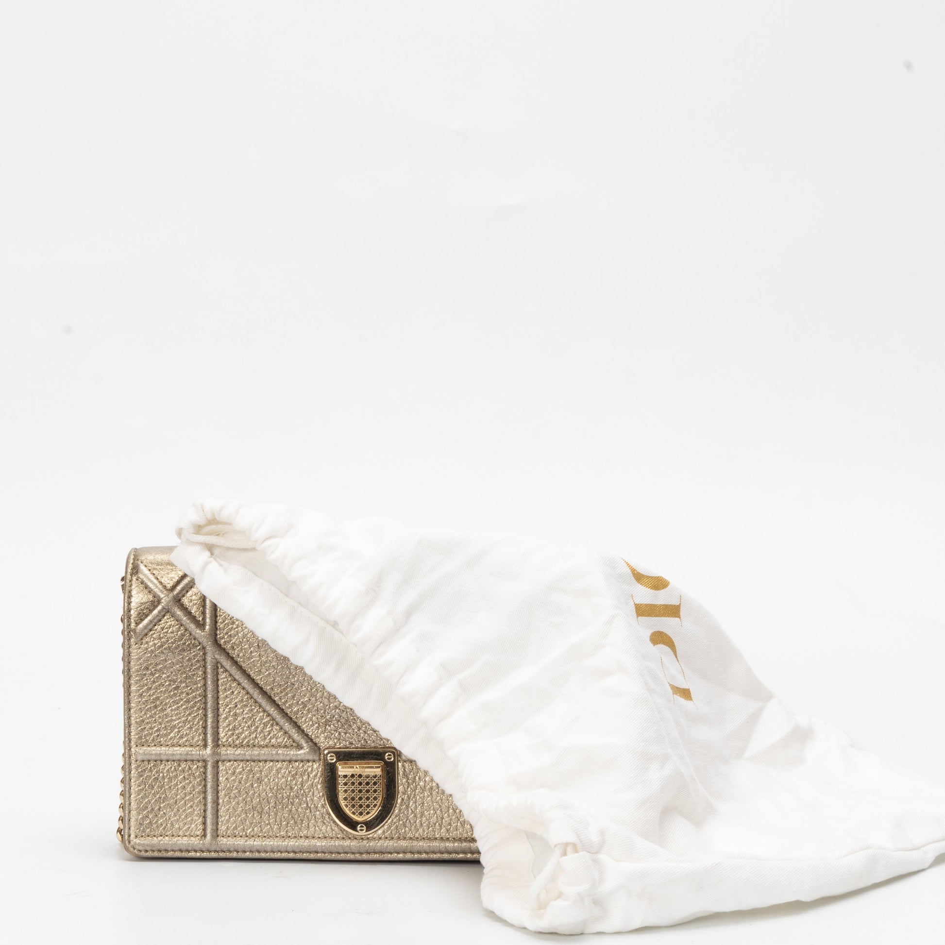 Dior Chain Leather Crossbody