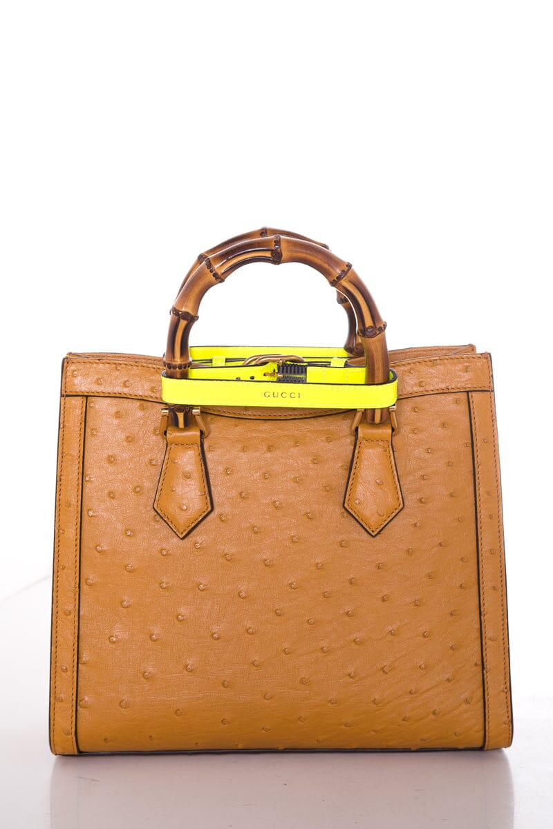Gucci Tan Handbag