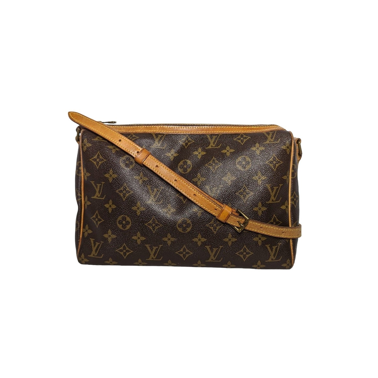 Louis Vuitton Monogram Tulle Lee Shoulder Bag