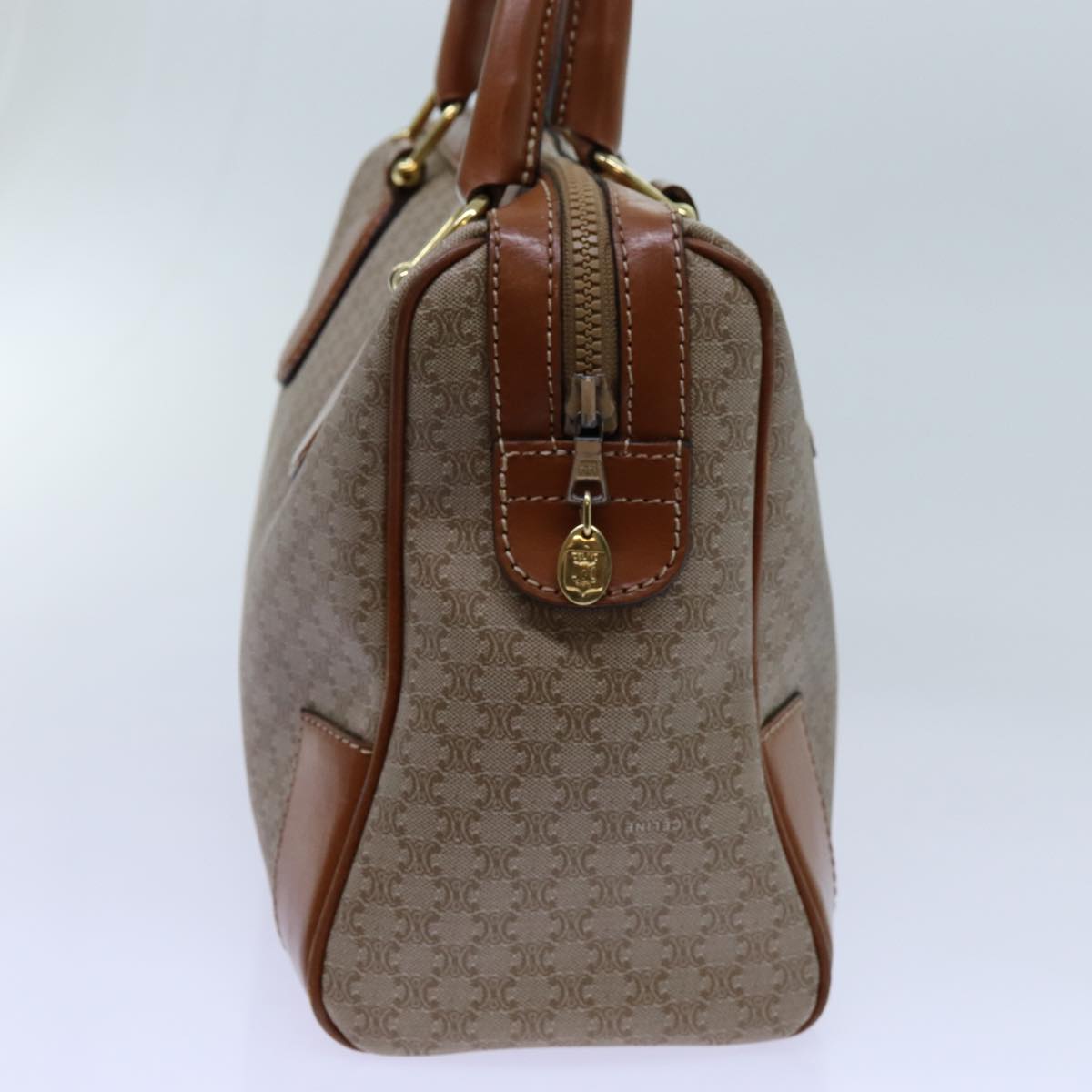 Luxury CELINE Macadam Canvas Hand Bag Beige 71533