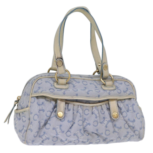Luxury CELINE C Macadam Canvas Hand Bag Light Blue 73242