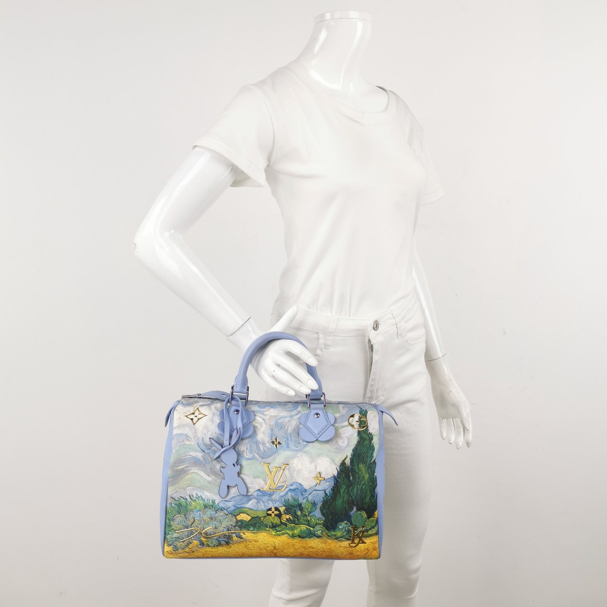Louis Vuitton x Jeff Koons Speedy 30 Van Gogh Top Handle Bag