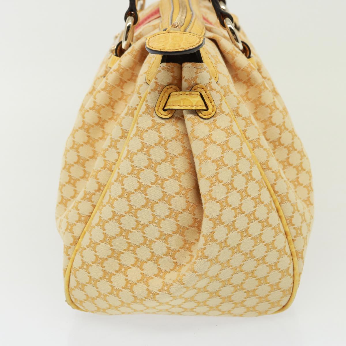 Luxury CELINE Macadam Canvas Hand Bag Beige 77703