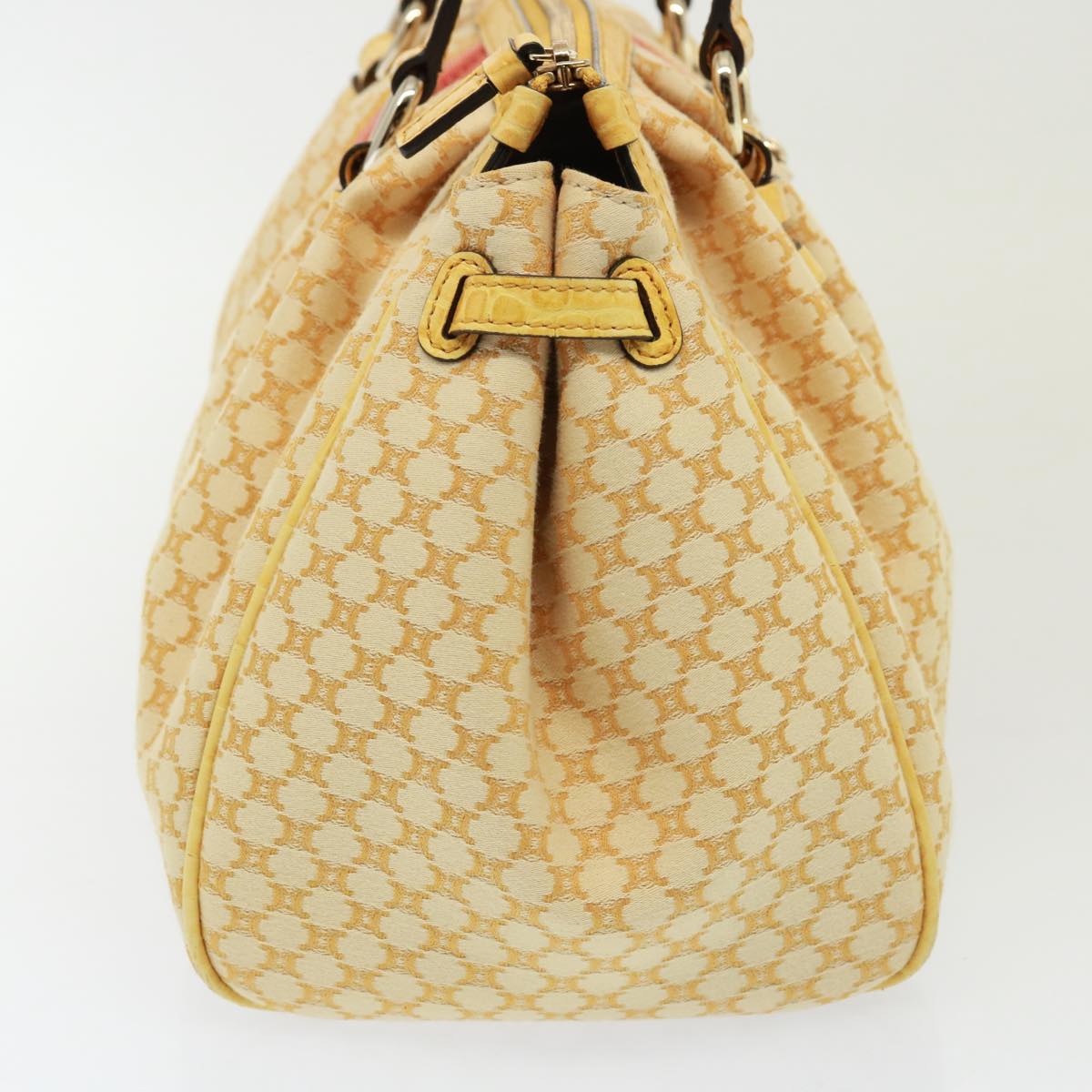 Luxury CELINE Macadam Canvas Hand Bag Beige 77703